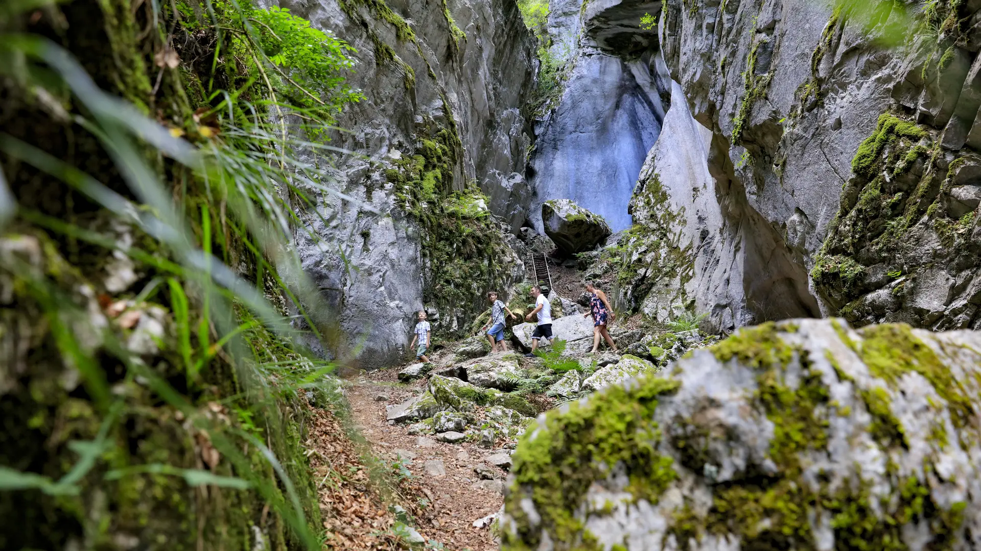 Gorges des Tines