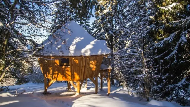 Cabane Chartreuse insolite 