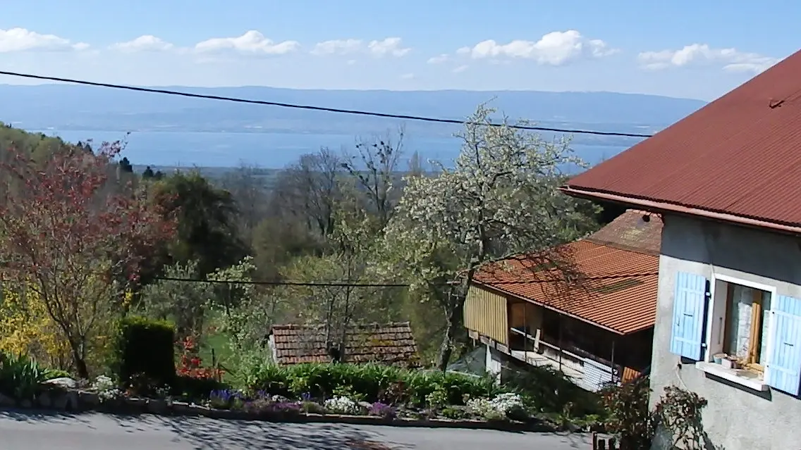 Vue sur le lac et la suisse depuis la cour