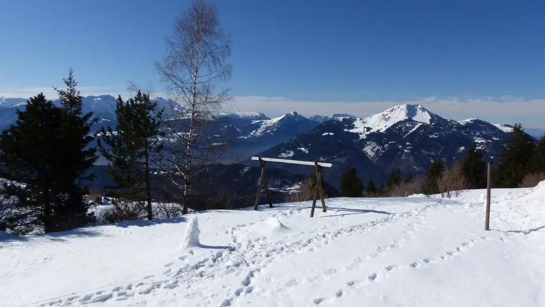 Grand terrain à l'arrière du chalet avec vue sur la 
chaîne du jura (partie ouest)
