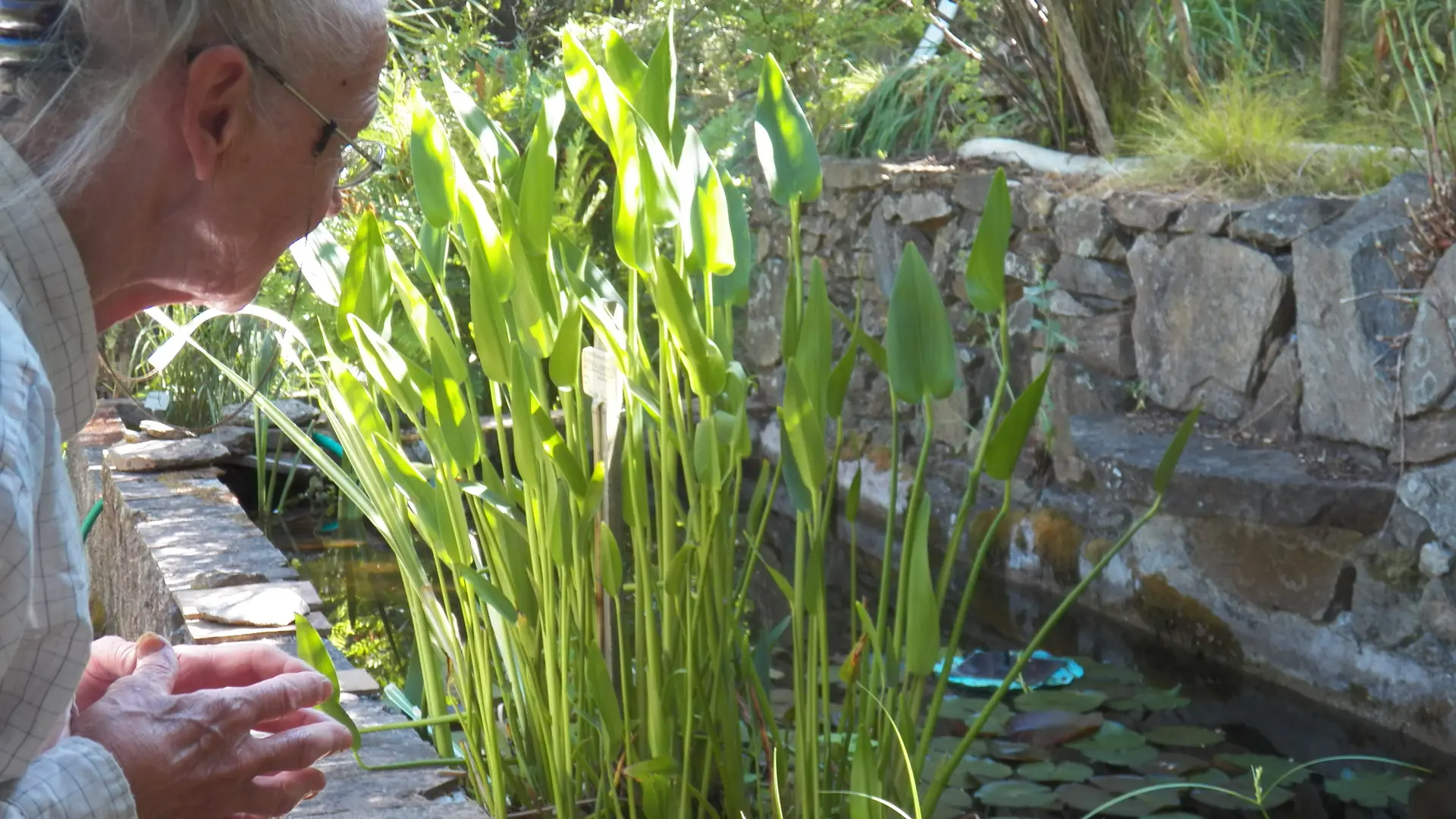 La propriétaire du jardin remarquable L'Hardy à Gassin - https://gassin.eu