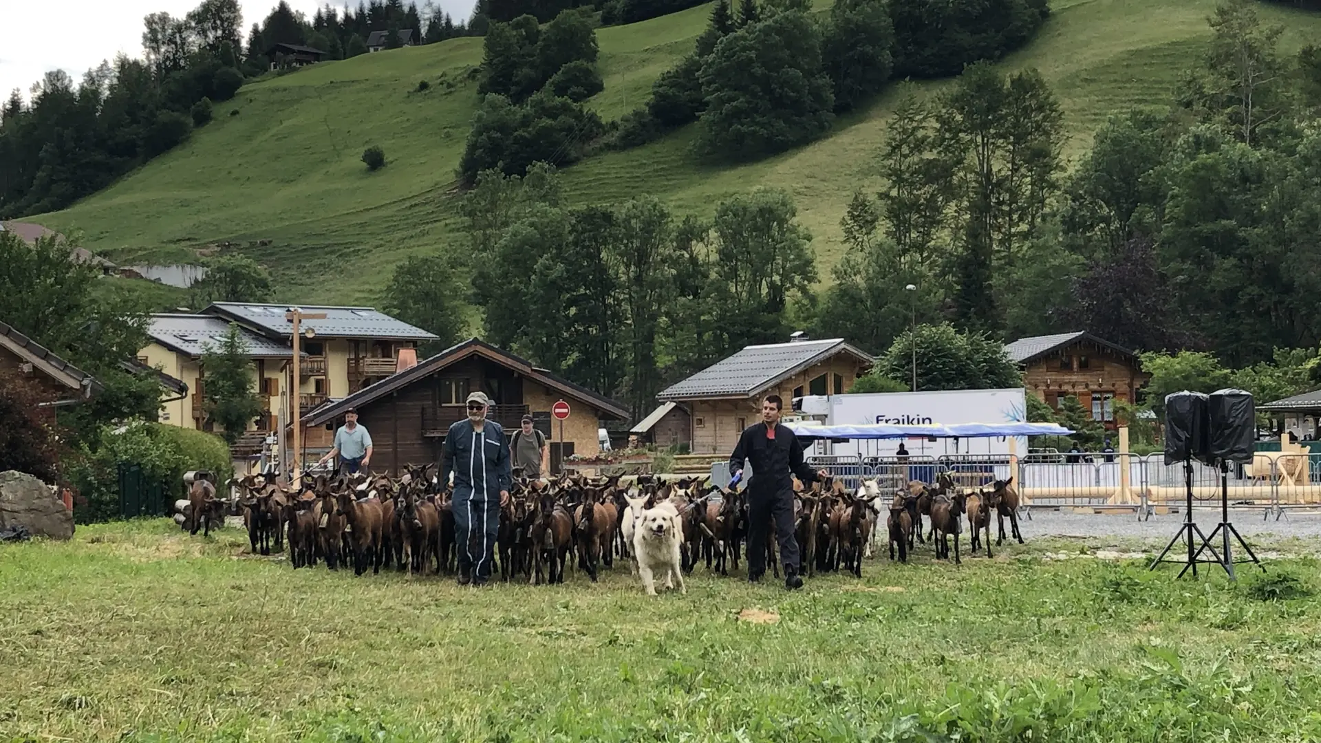 Fête des fromages 2019