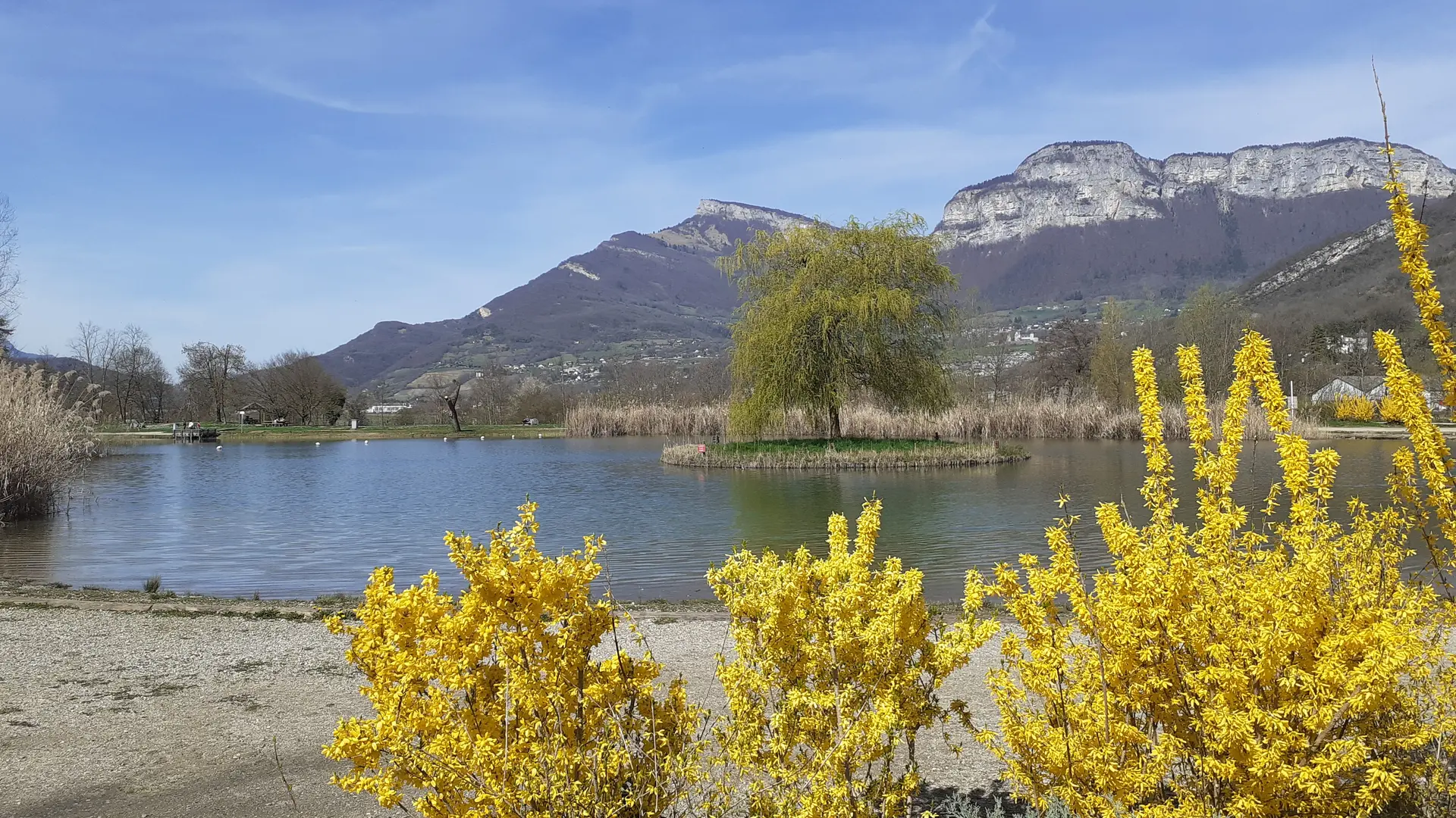 Vue montagne
