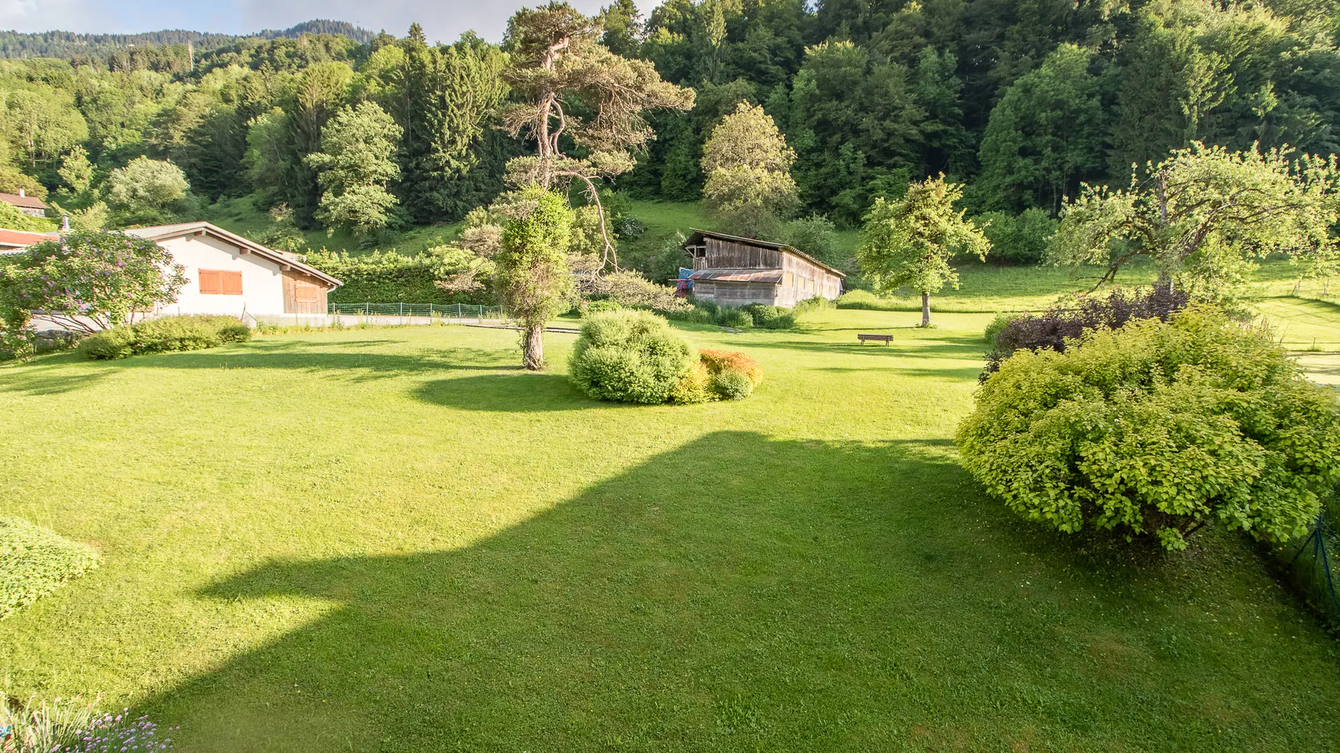 Vue jardin depuis patio
