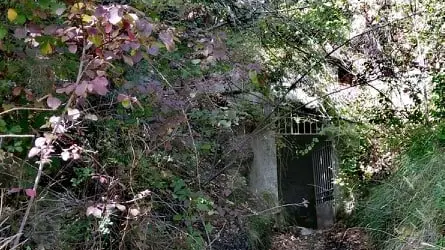 Source de la Bergère