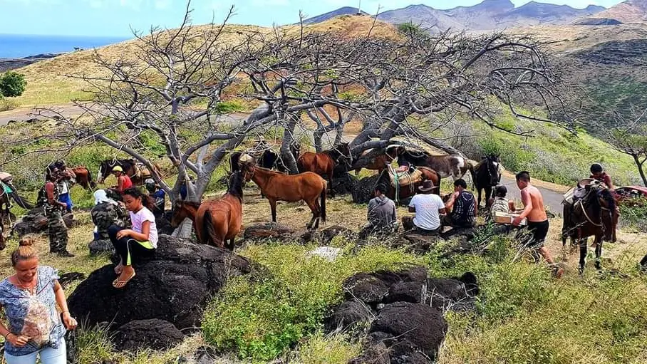 Le Ua Huka Horse House