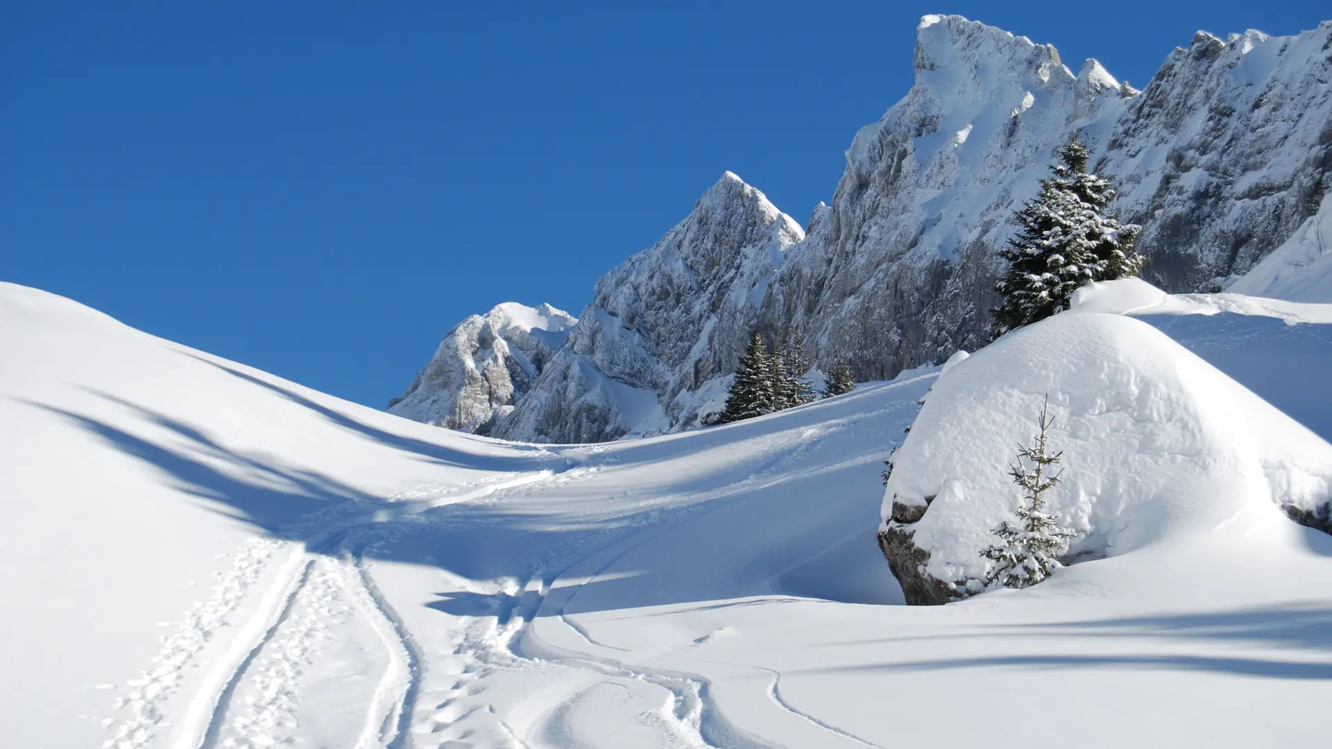 Trace de skis dans la neige