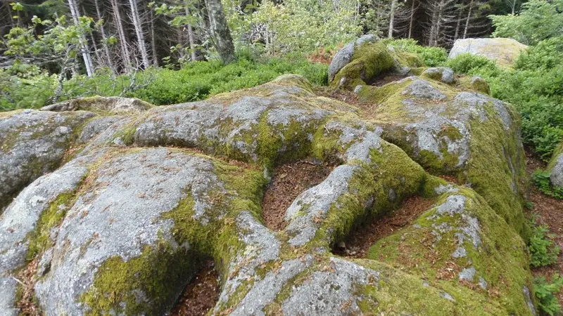 rocher à cupules