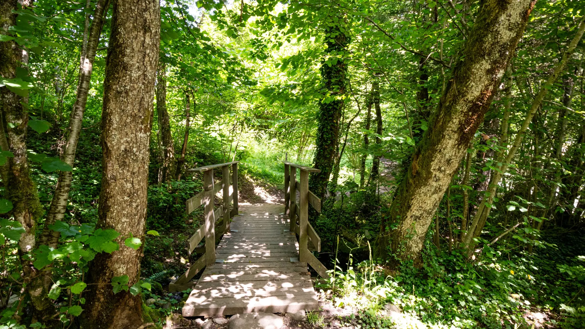 sentier