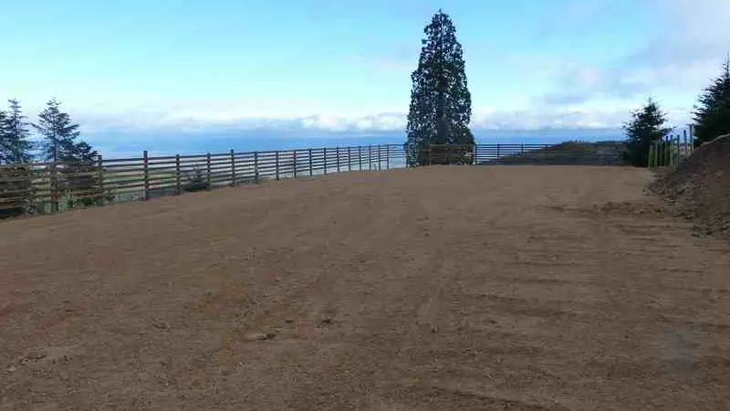 Manège pour cheveaux