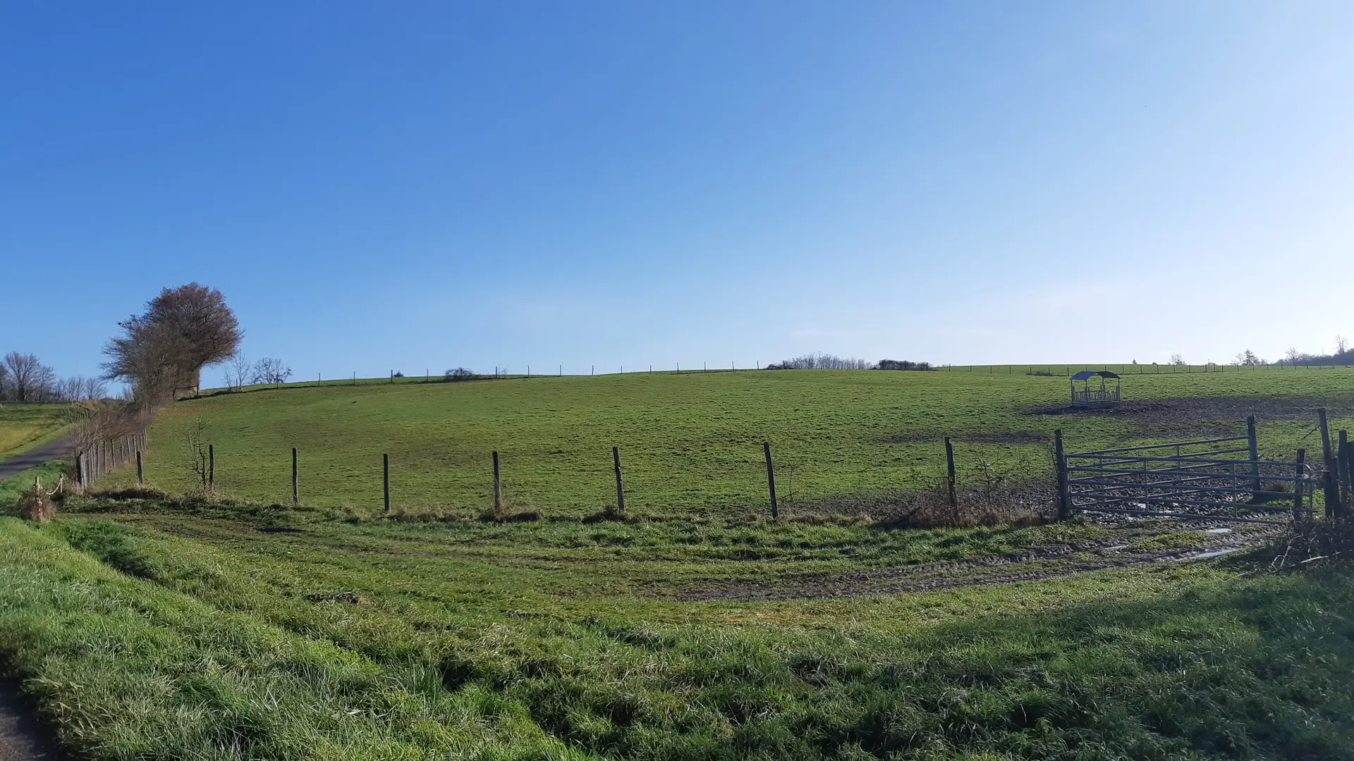 Sur les chemins de St Didier d'Aussiat