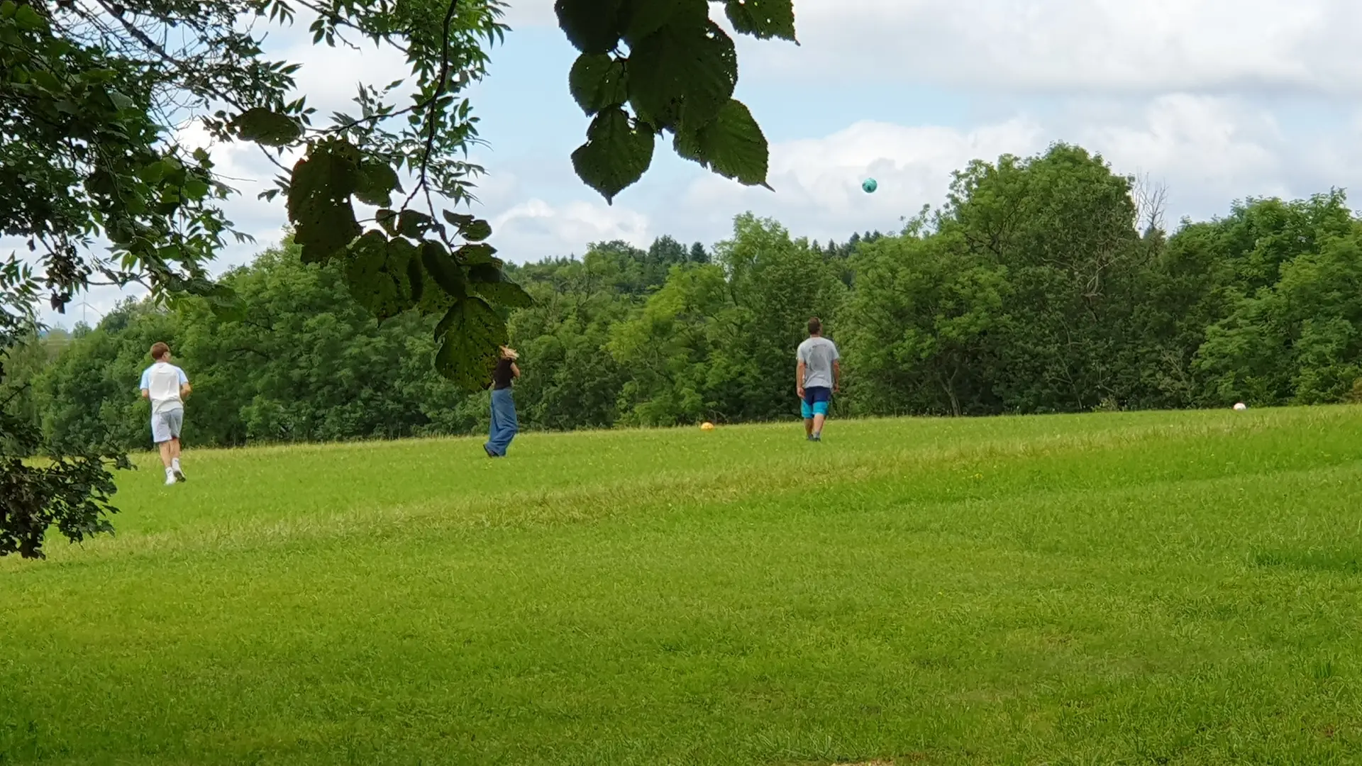 un shoot peut faire jusqu'à 80 m