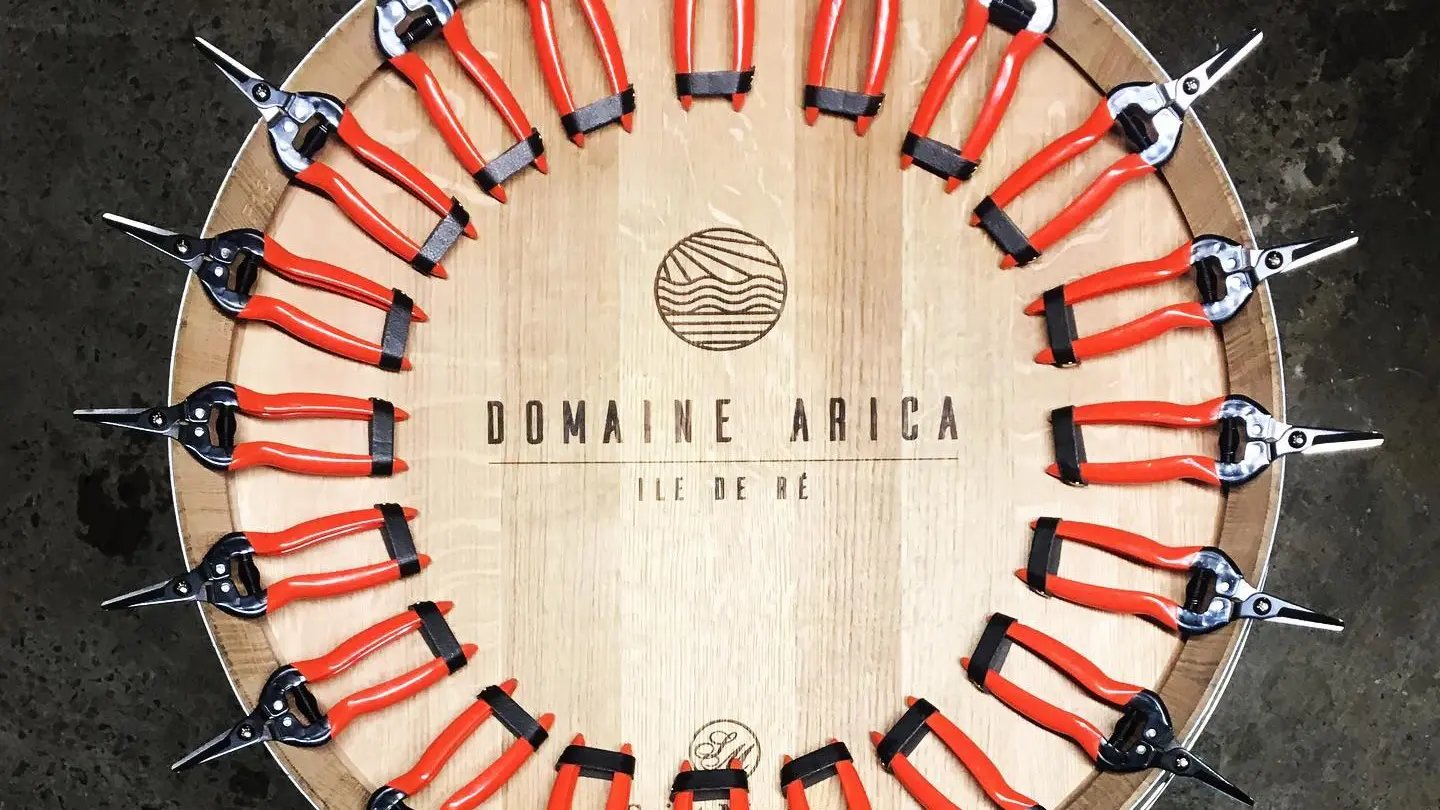 Domaine Arica