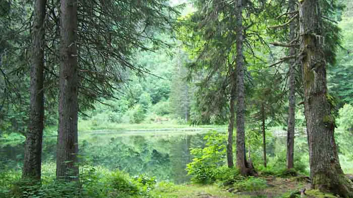 Lac de Petetoz