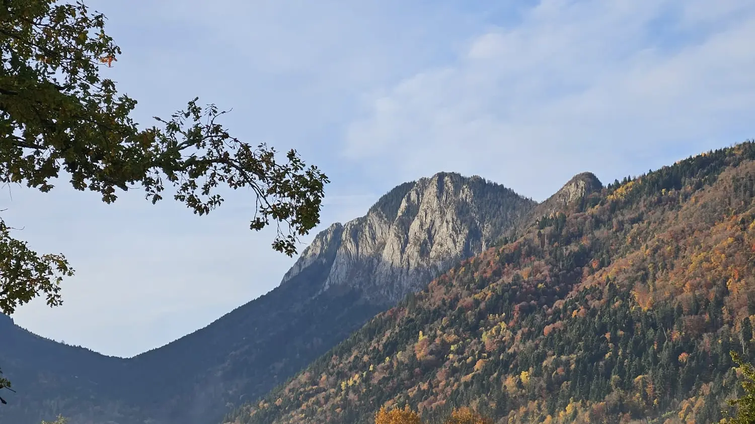 batiment principale de vente d e légumes devant la montagne du taillefer