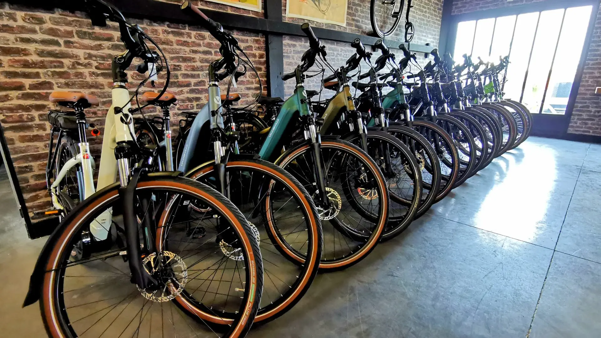 Eine große Auswahl an Fahrrädern