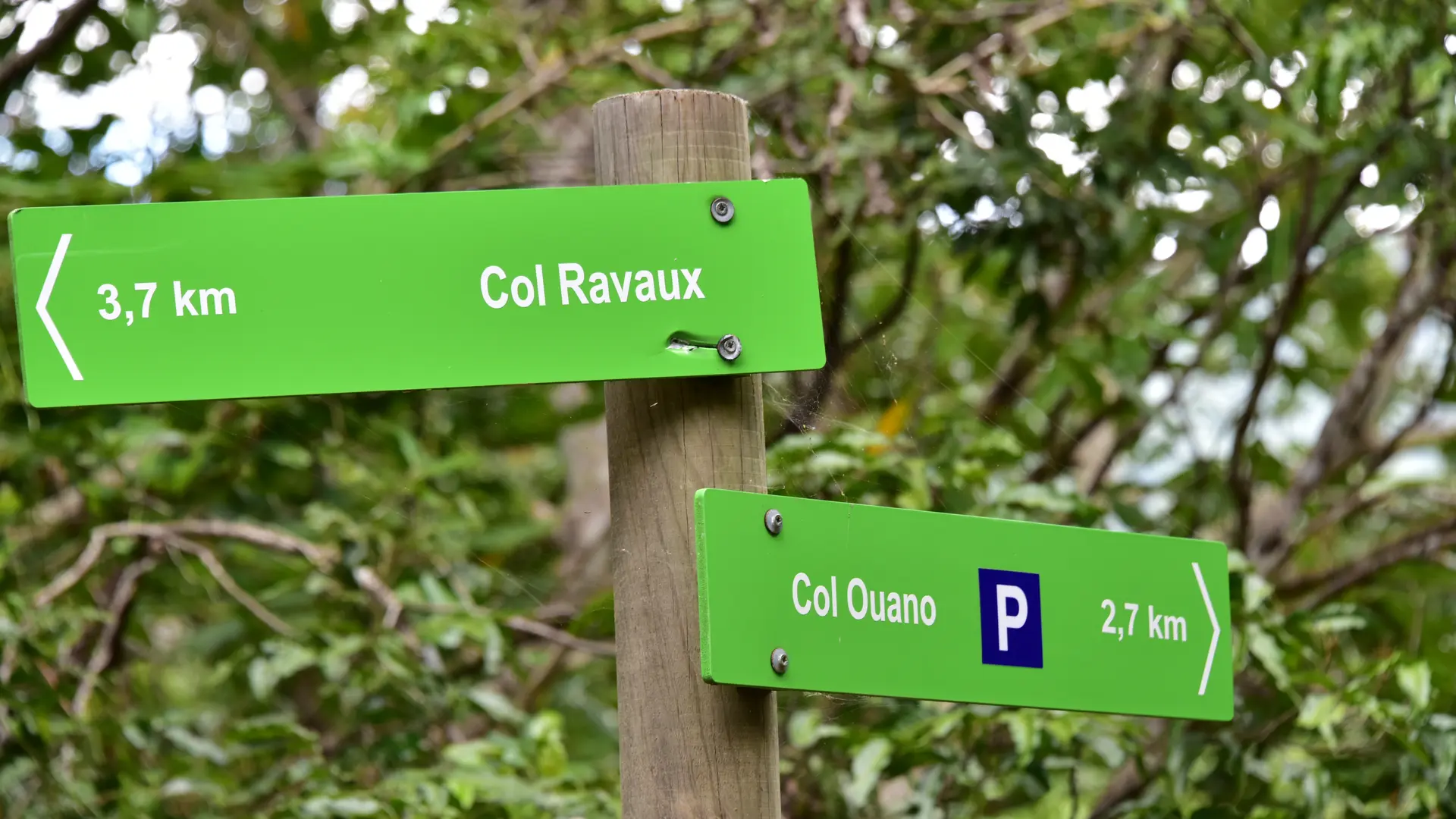 Signalétique
