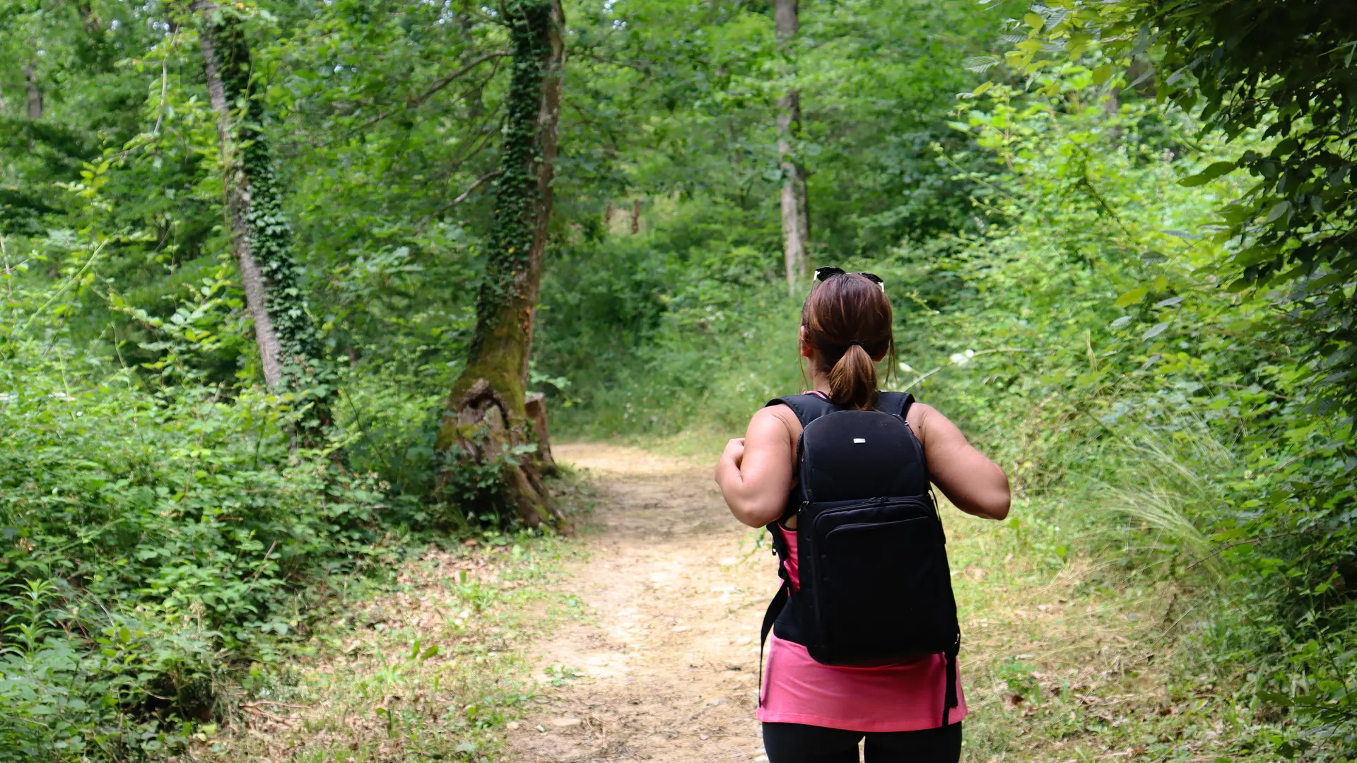 Sentier sableux du bois de Sizay
