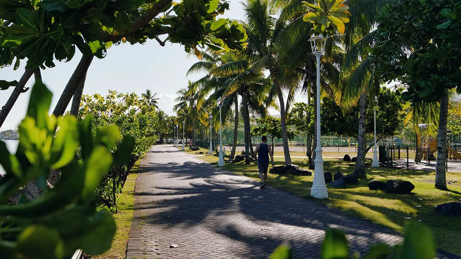 Tahiti jardins de Paofai promenade