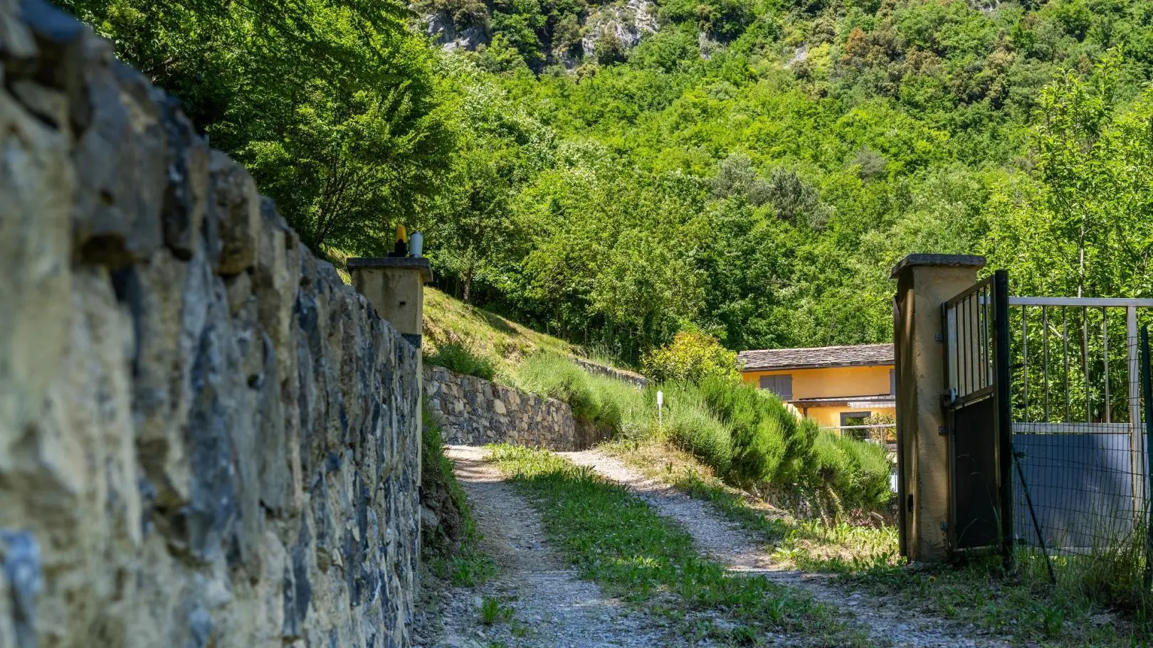 Les Lavandes de la Pinea-entrée propriété-Breil-sur-Roya-Gîtes de France des Alpes-Maritimes