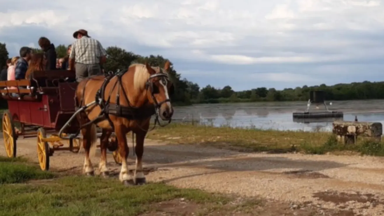 Les Attelages de la Dombes