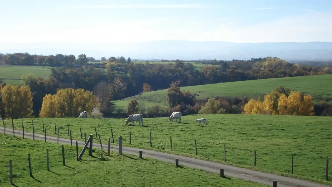 vue sur le sud-ouest