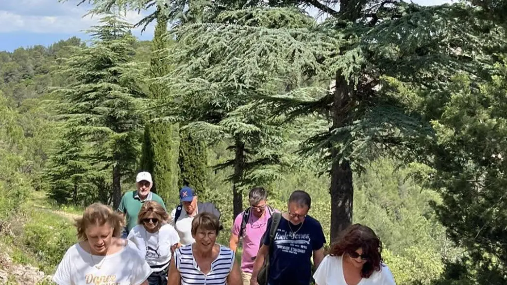 Activite pedestre dans les Alpilles