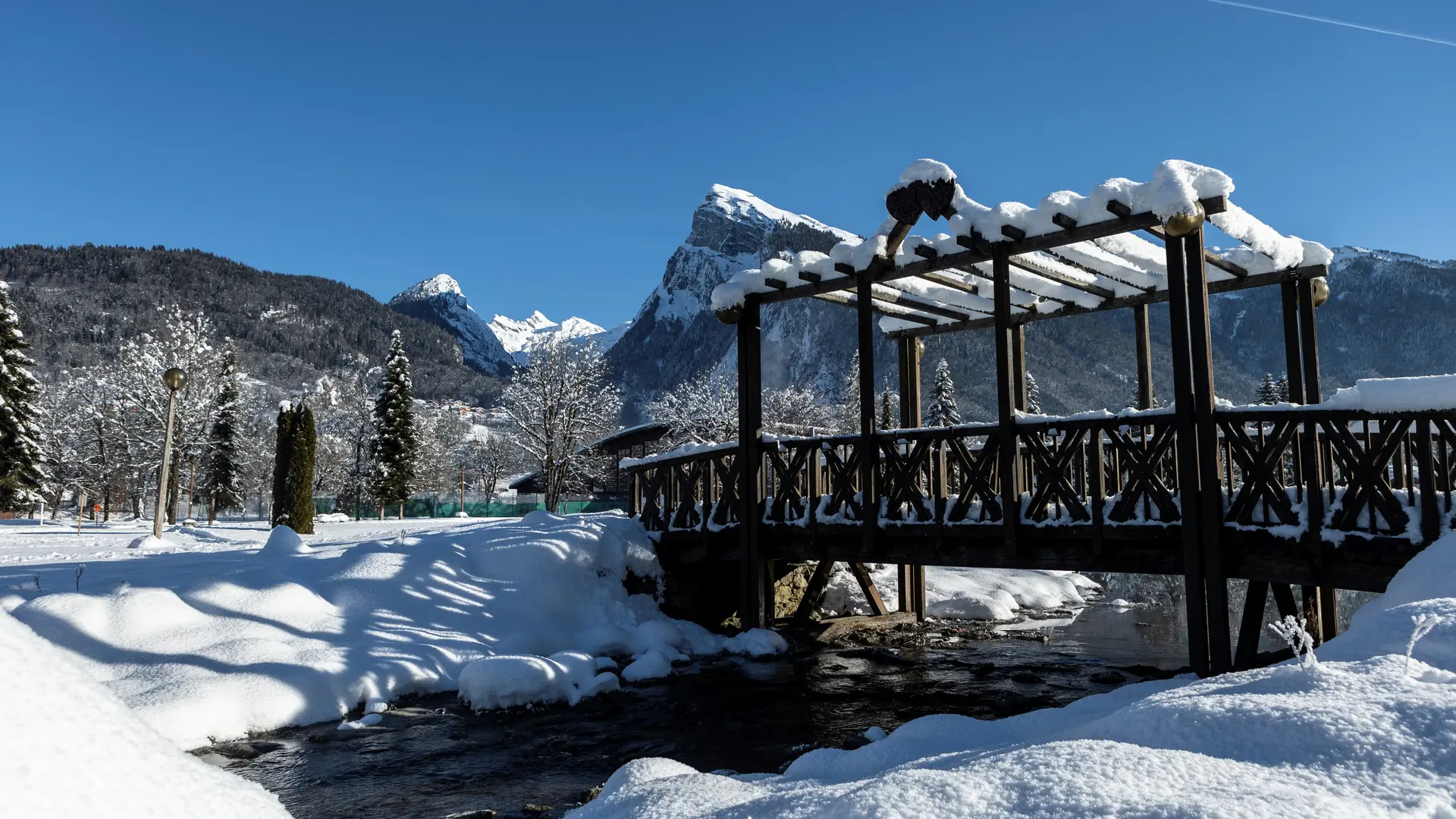 Passerelle du lac aux dames