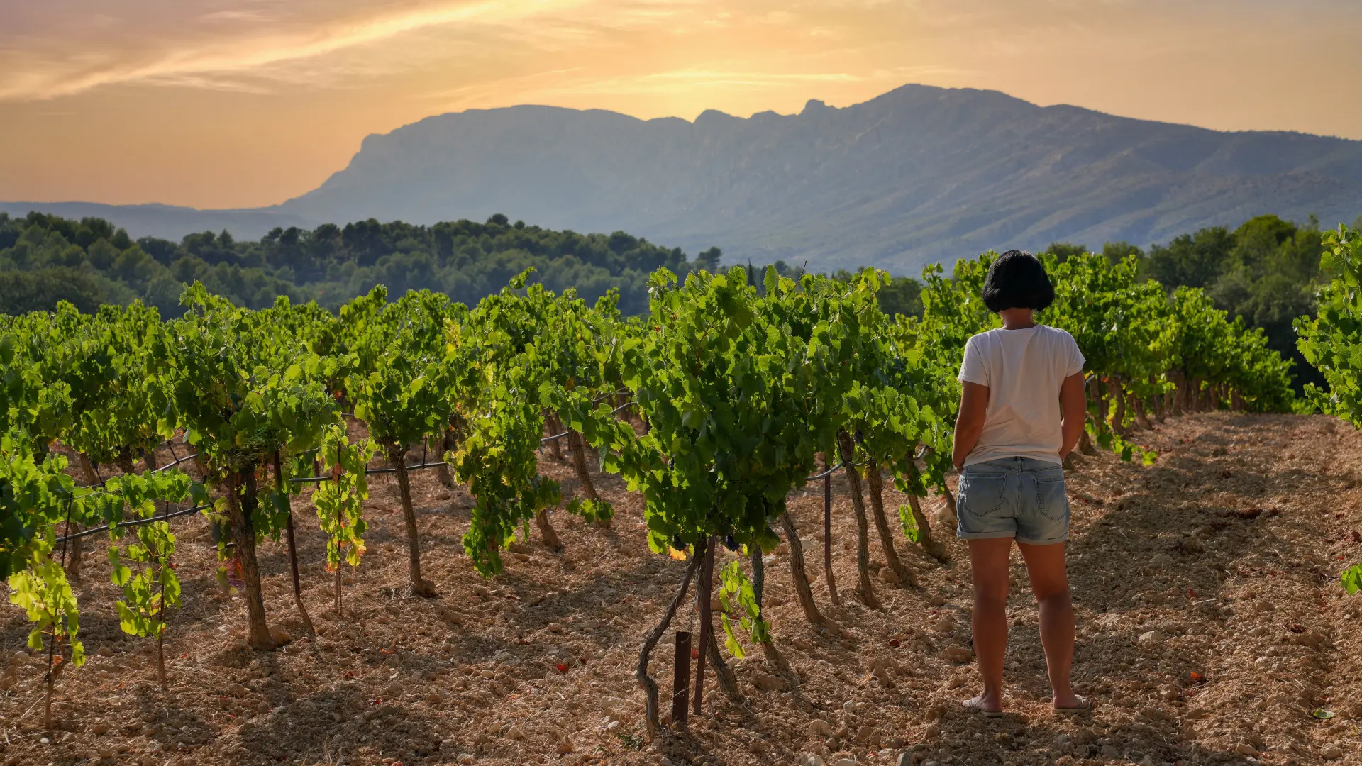 Sainte Victoire