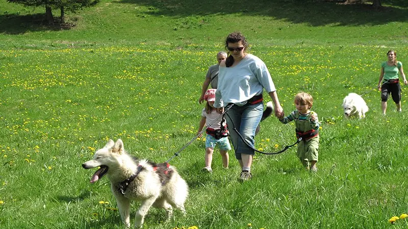 Cani-rando