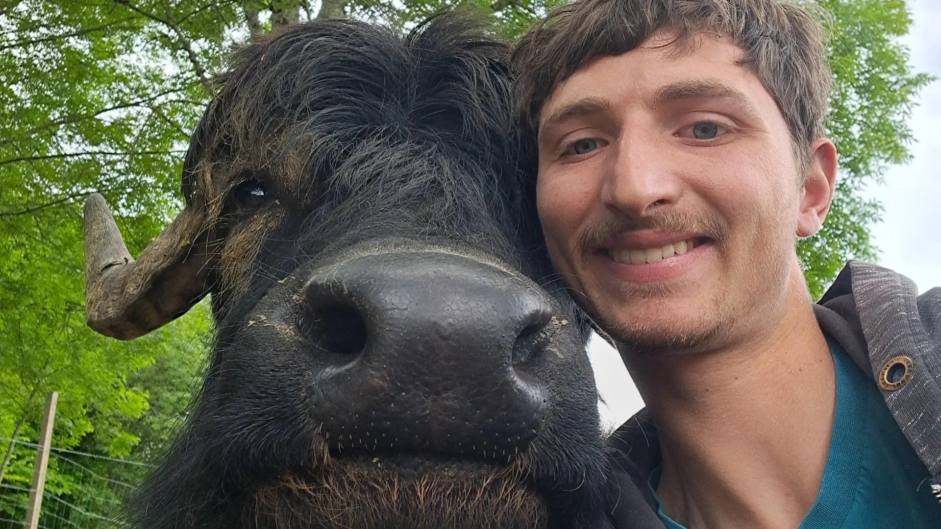 Maxime et bison