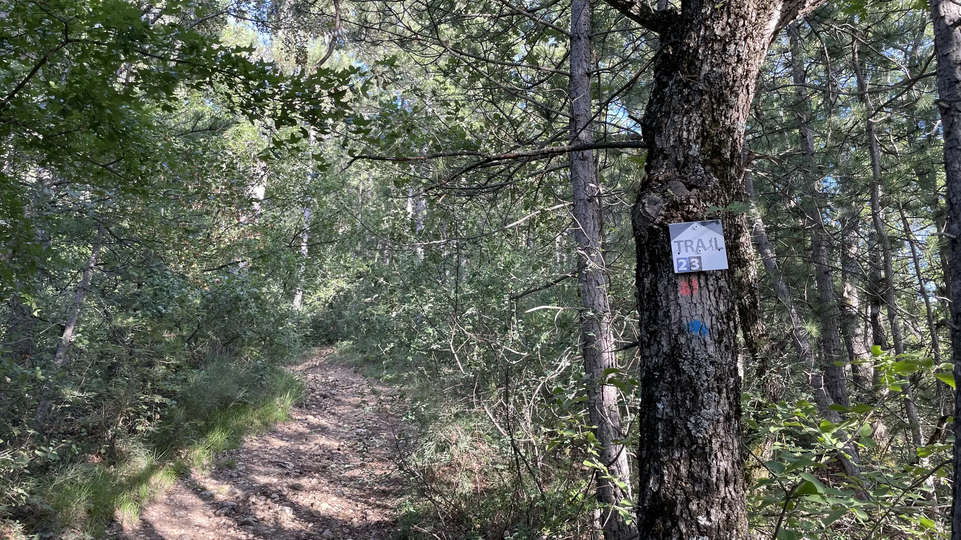 Trail n°2 - Le Pic Bernard