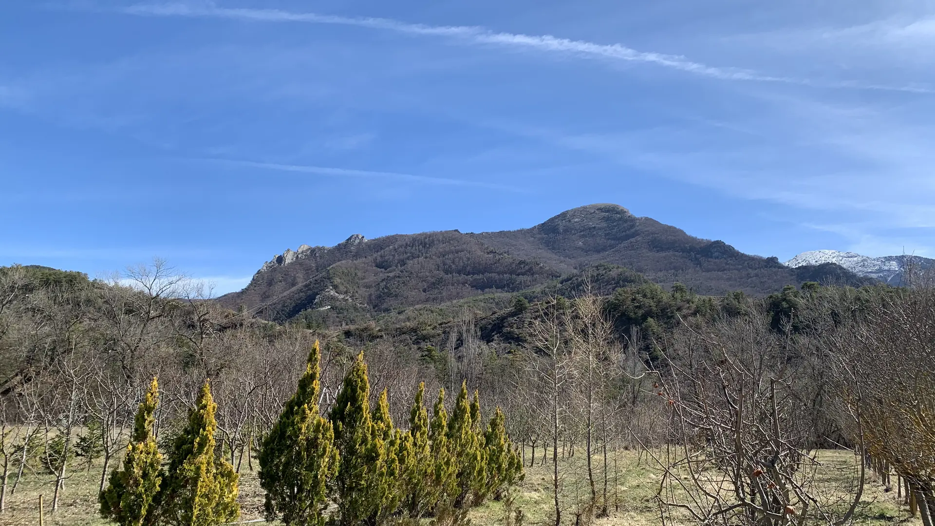 La grange des Pépinières