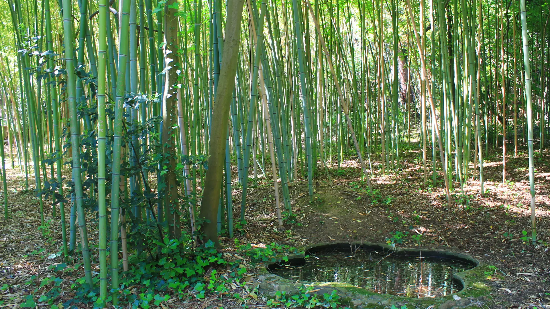Découverte des Calanques