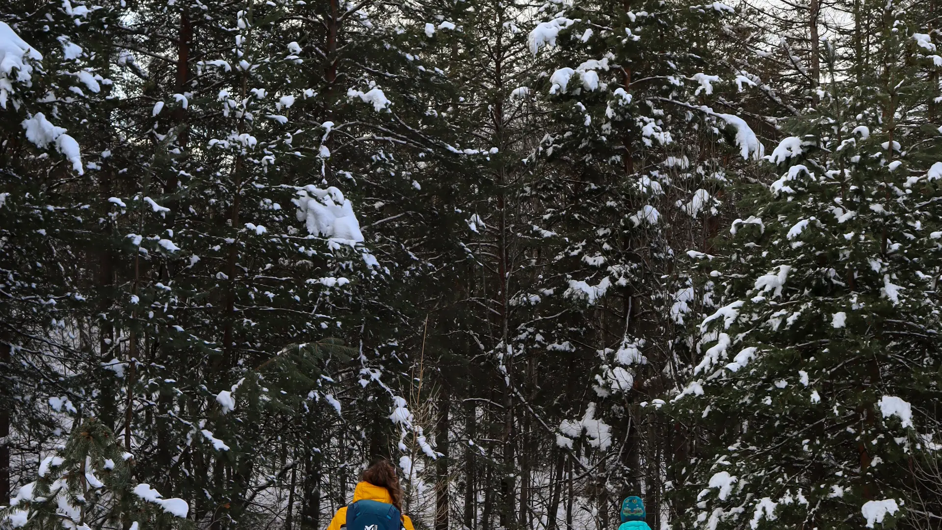 Raquettes Villard St Pancrace