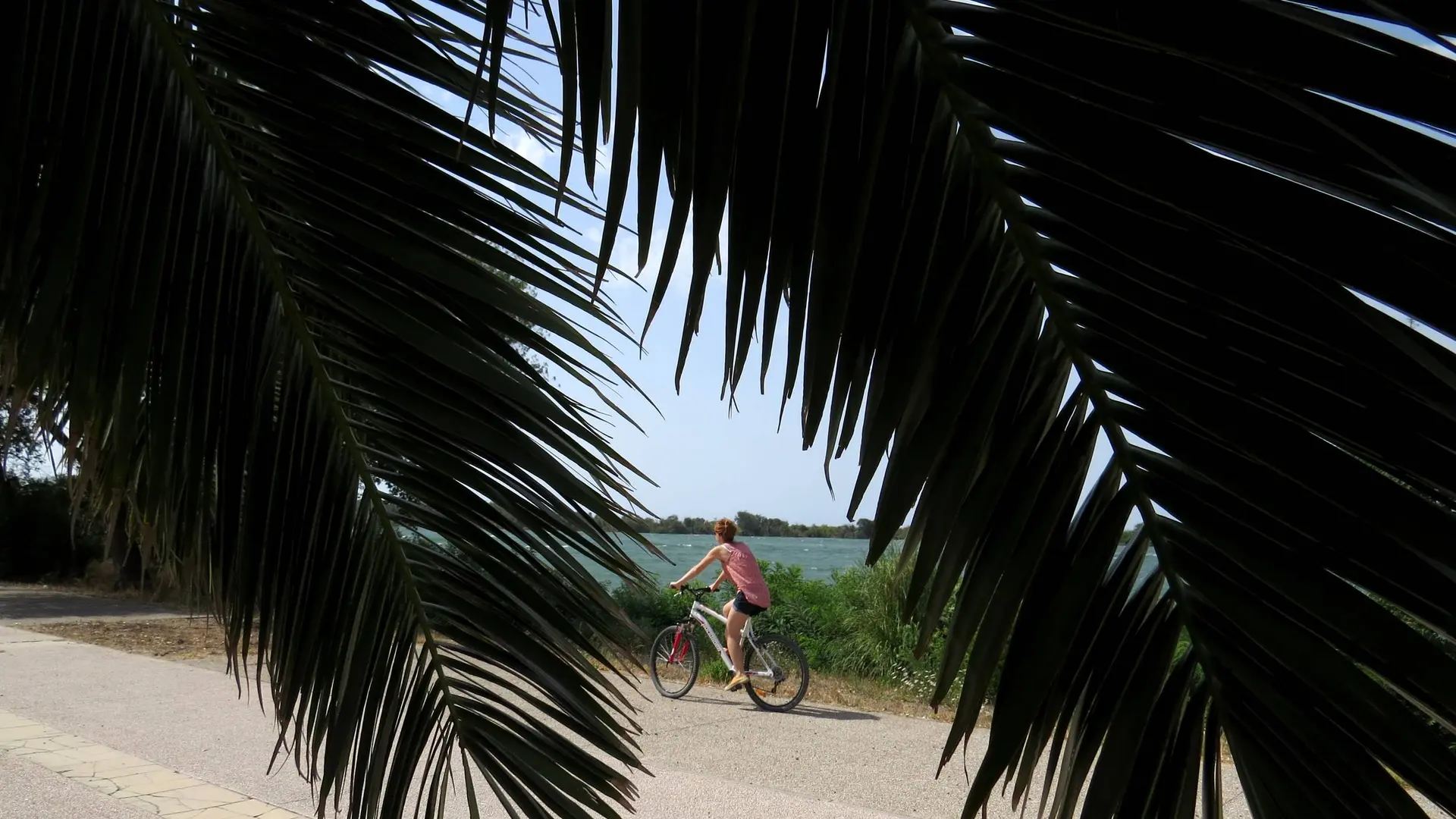 Cycliste sur les rives du Rhône