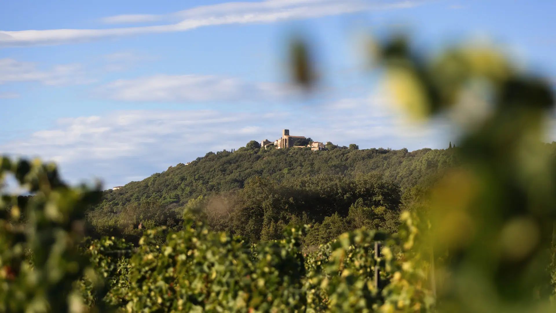 Vue sur le village de Gassin