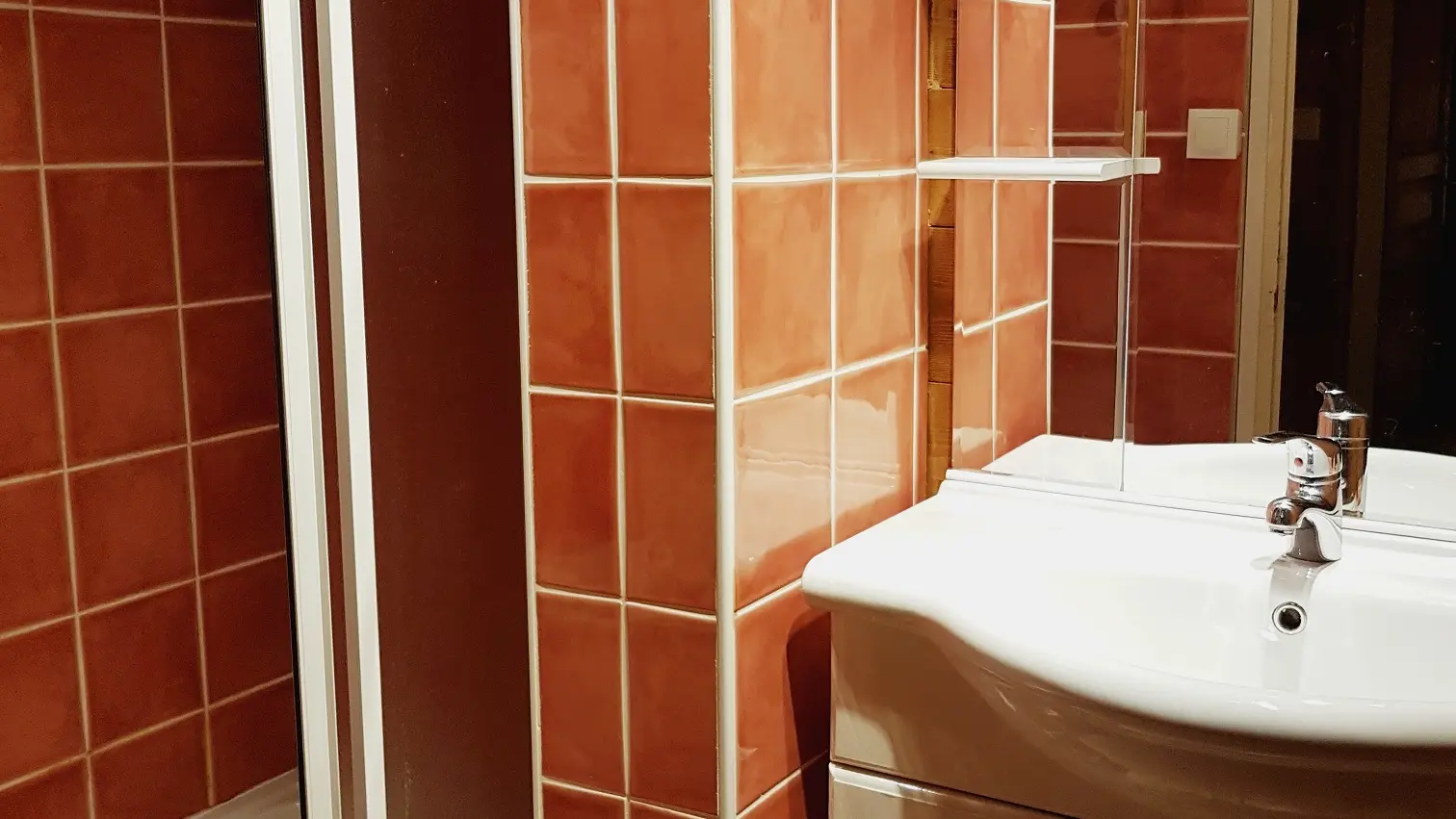 Vue sur la douche et le lavabo de la salle de bain