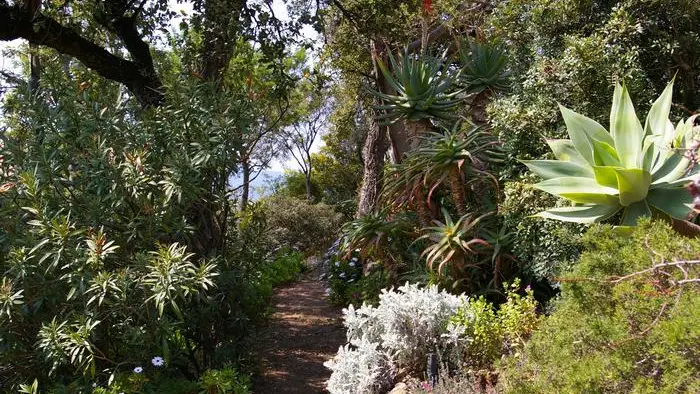 Jardin