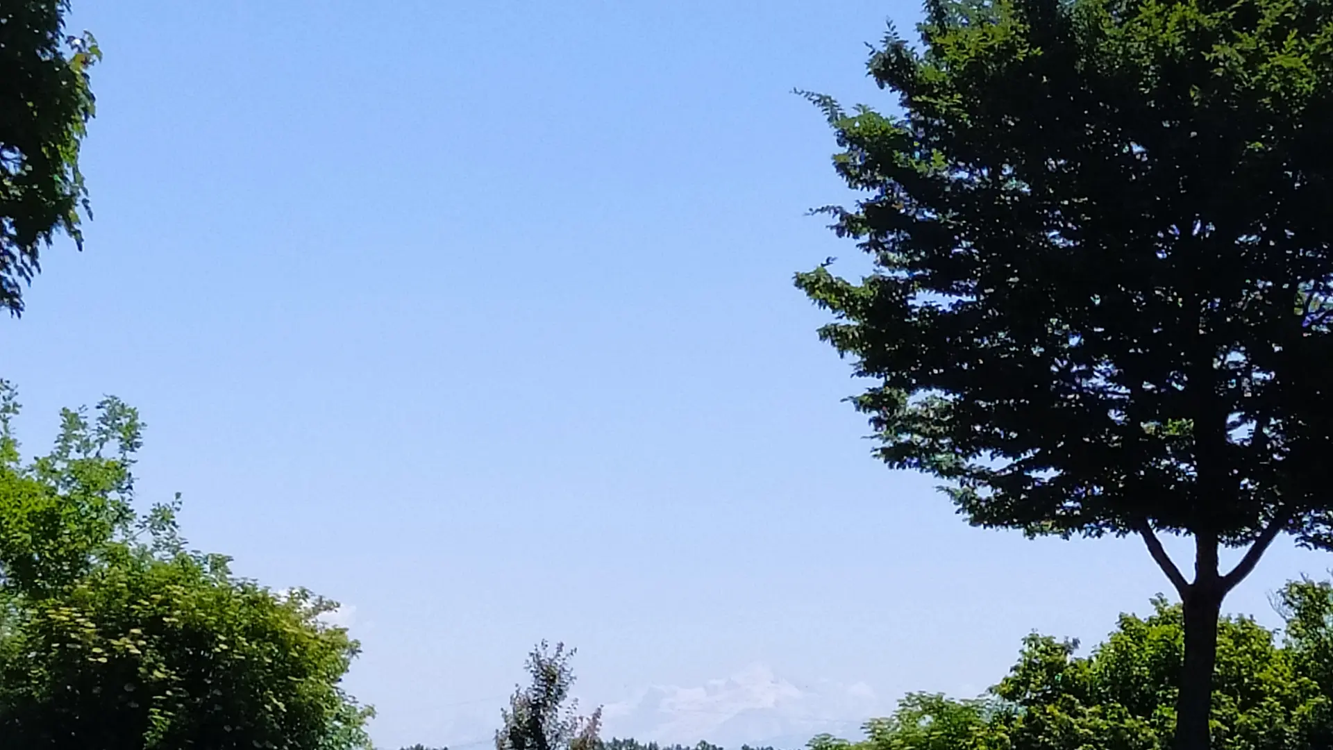 Vue sur le Mont Blanc depuis l'étang de Colovrex