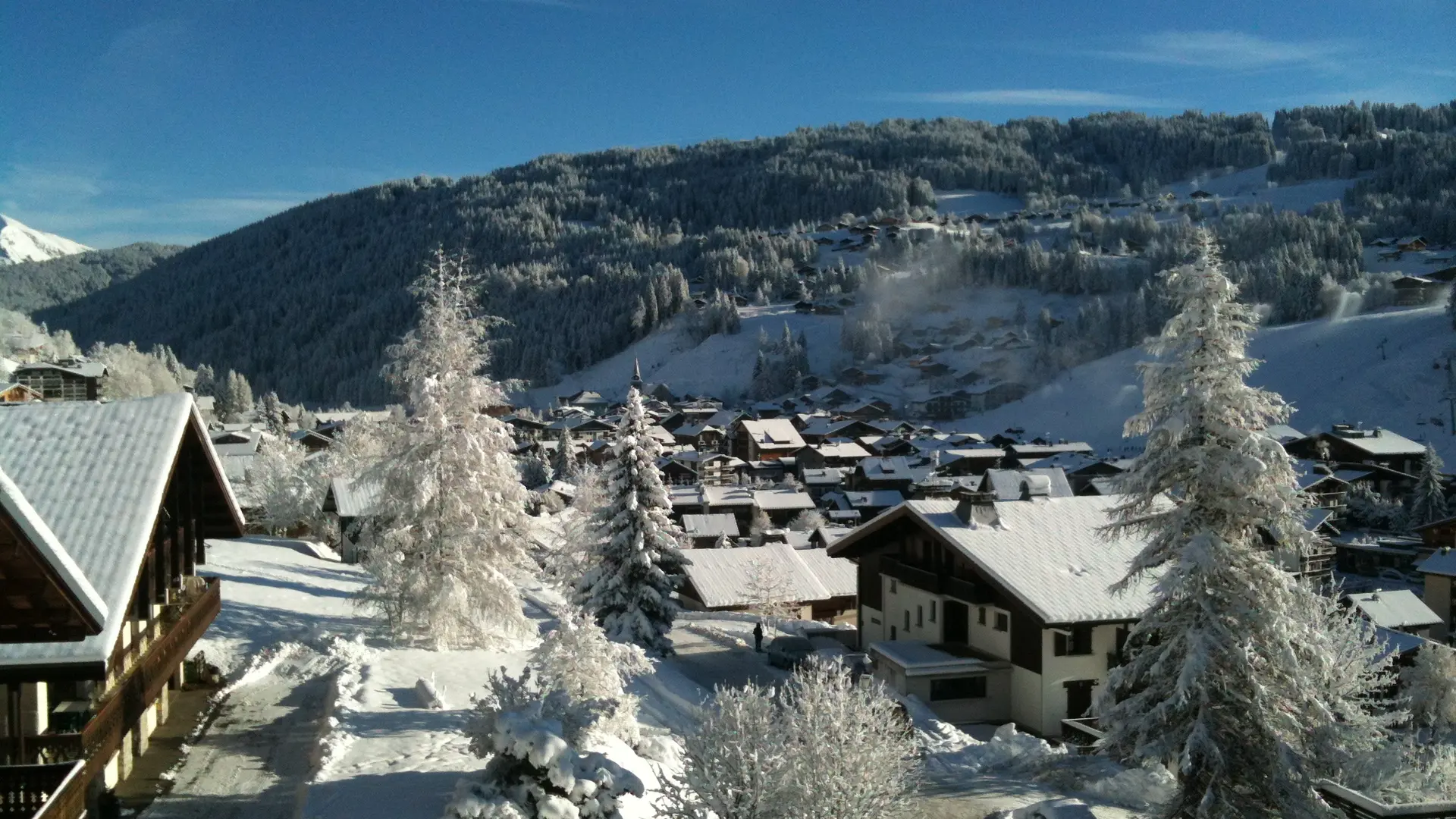 Bois de la Dent / Kalahari hiver