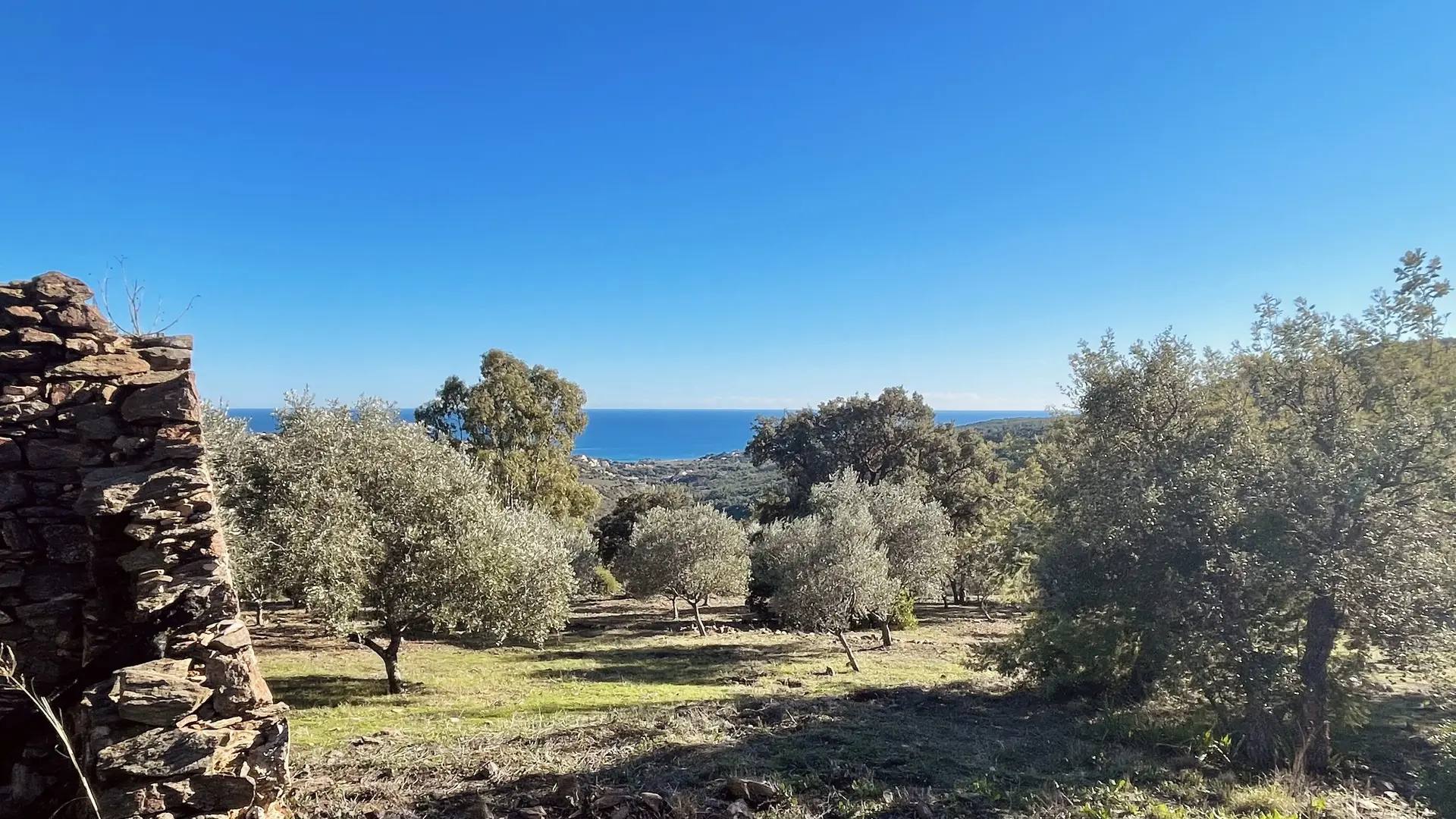 vallon de la gaillarde - Roqueyrol