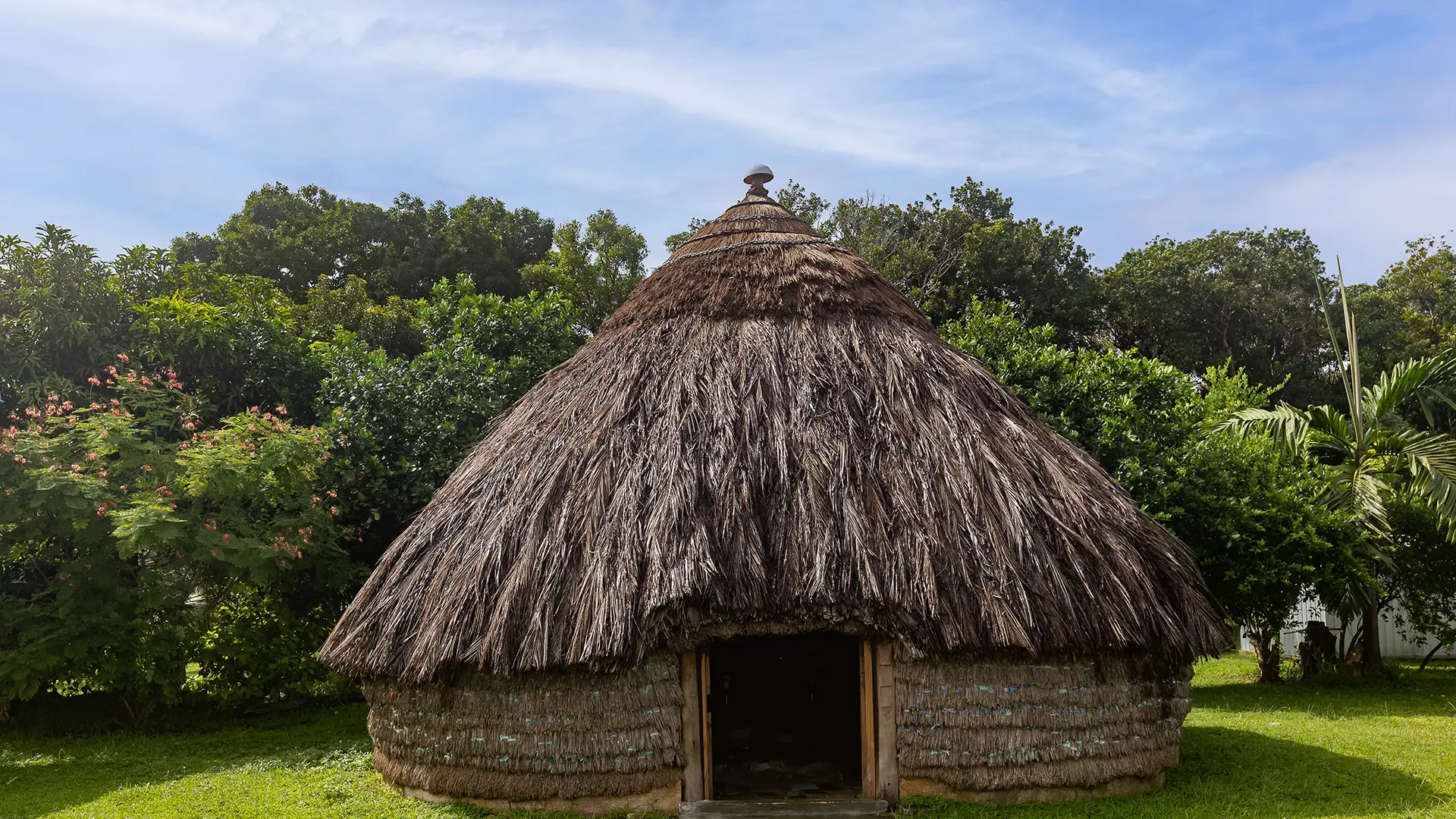 Traditional hut