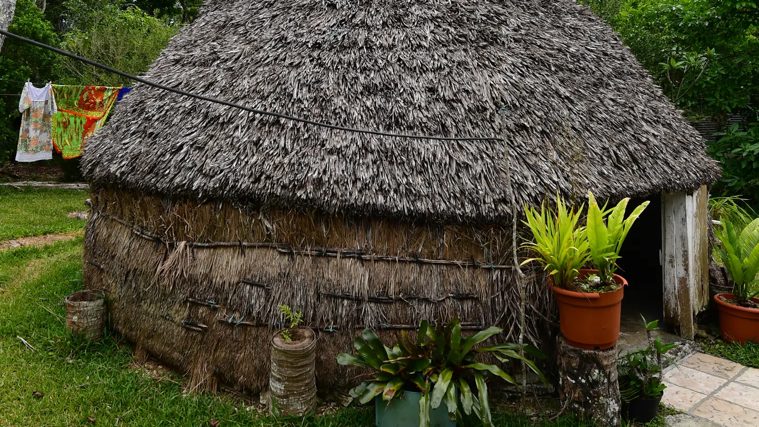 Traditional hut