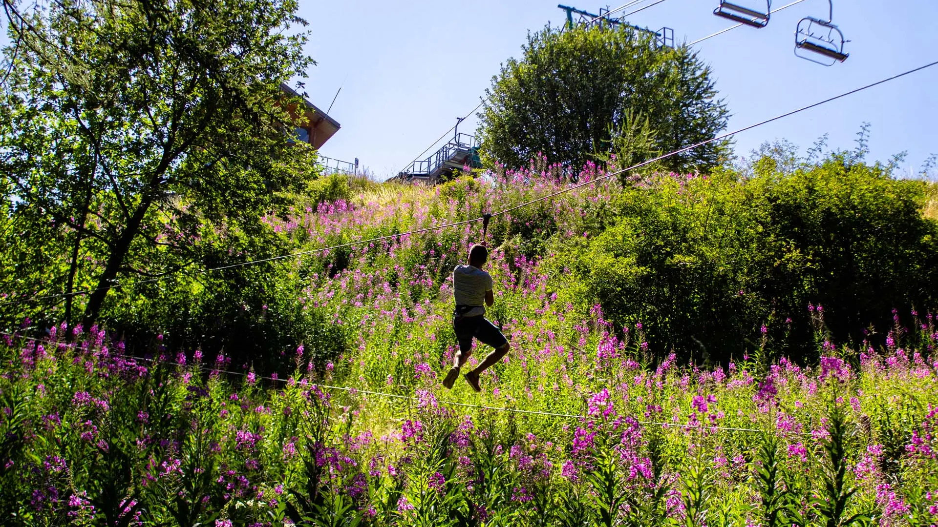 tyrolienne et fleurs