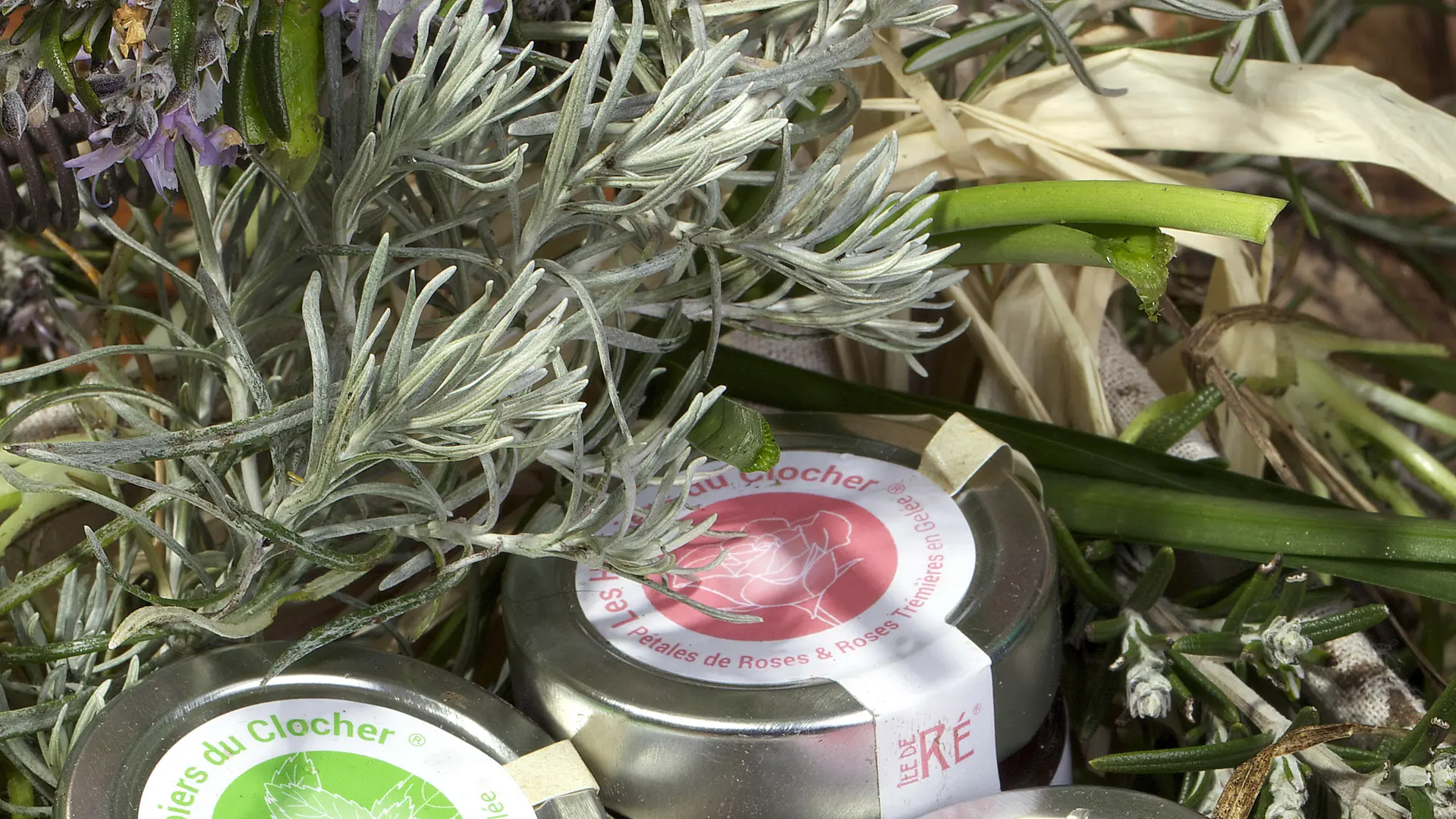 Jellies Les Herbiers du Clocher