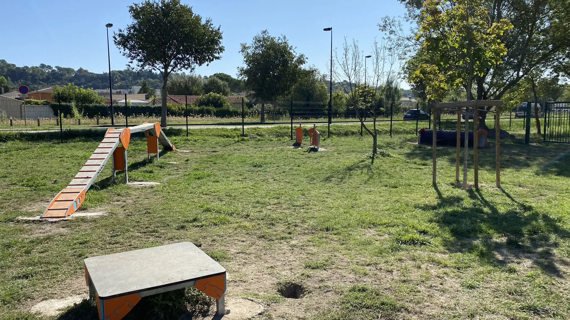 Agility : aire de jeux pour les chiens