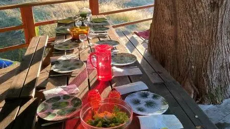 Repas à l'ombre du tilleul