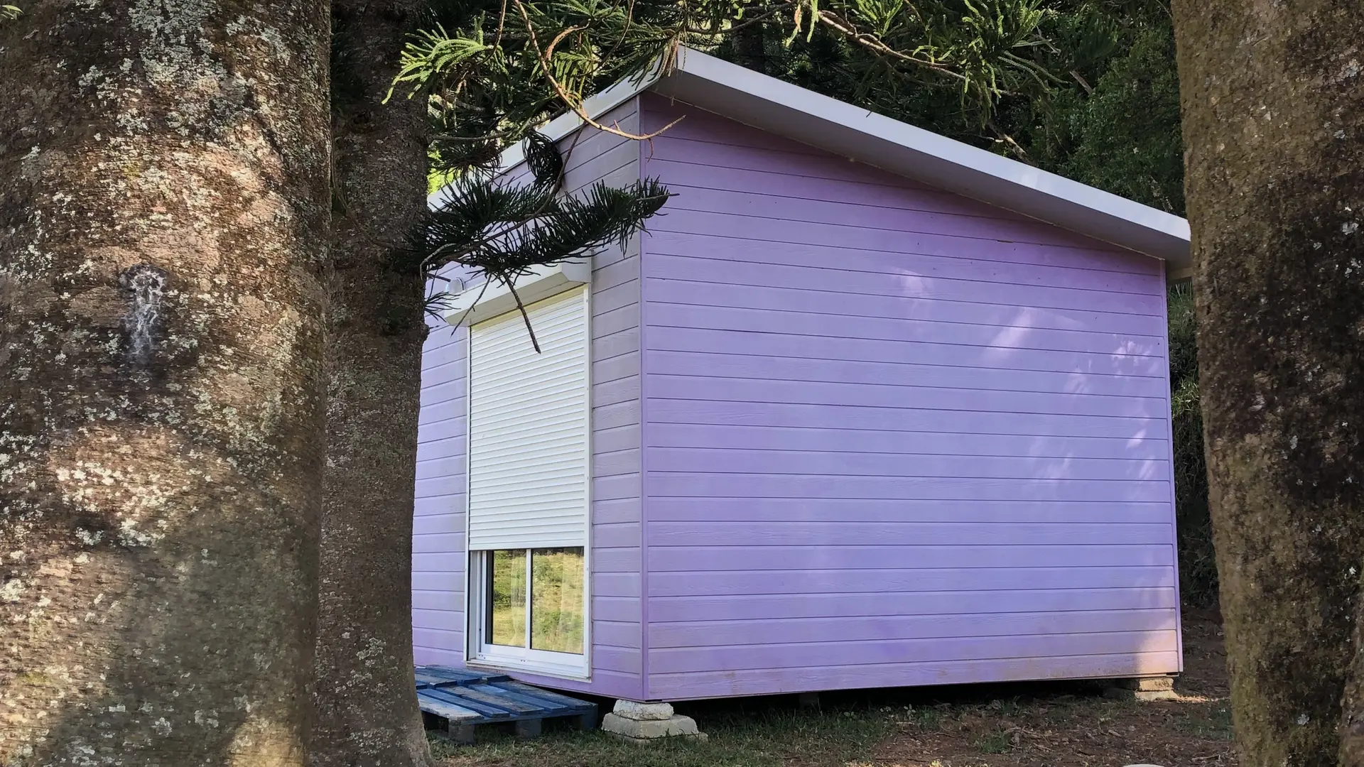 chalet, chambre, néouty découvertes, ponérihouen