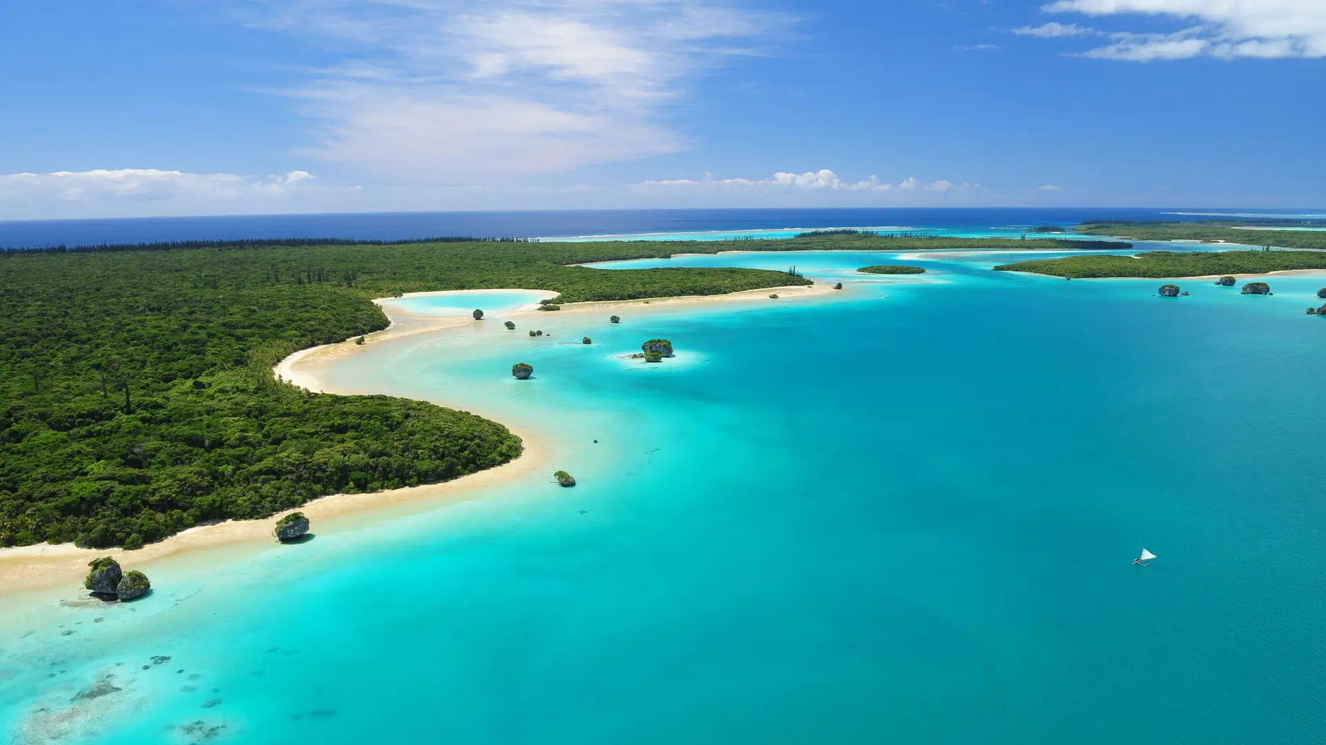 Upi Bay from the sky